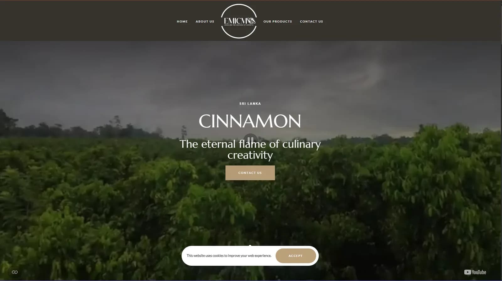 EMICMO website